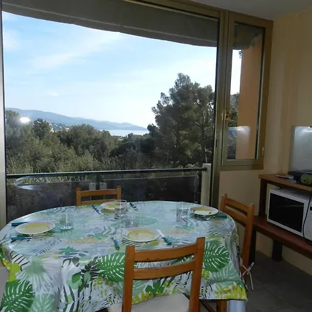 2 Pieces Avec Piscine Et Parking, Bormes-les-mimosas - Fr-1-251-780 * Le Lavandou